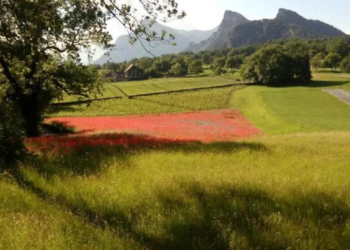 Heidihuus By Interhome Vakantiehuis