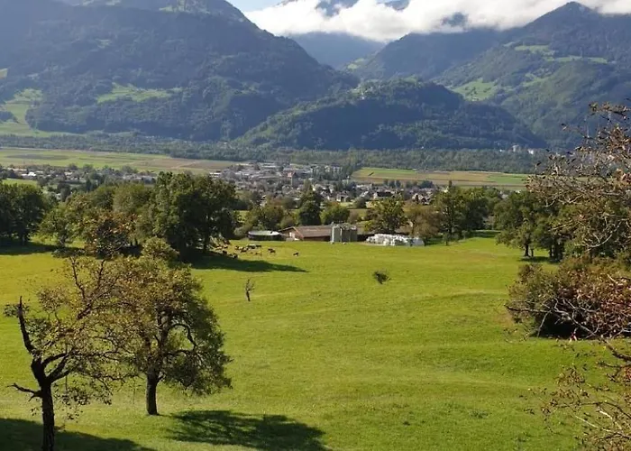 Vakantiehuis Heidihuus By Interhome